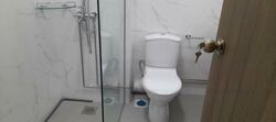 Botanic Gardens Mansion (D10), Apartment #482797491